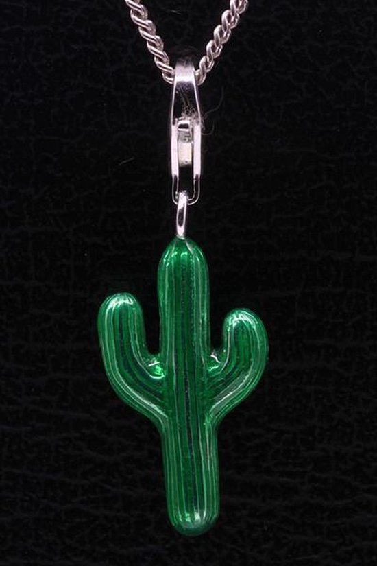 Foto: Zilveren cactus groen hanger n bedel