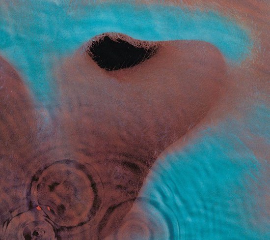 Albumhoes van Pink Floyd's Meddle met bruine en blauwe abstracte vormen, met een donker gat in het midden.