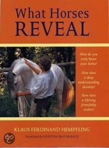 What Horses Reveal