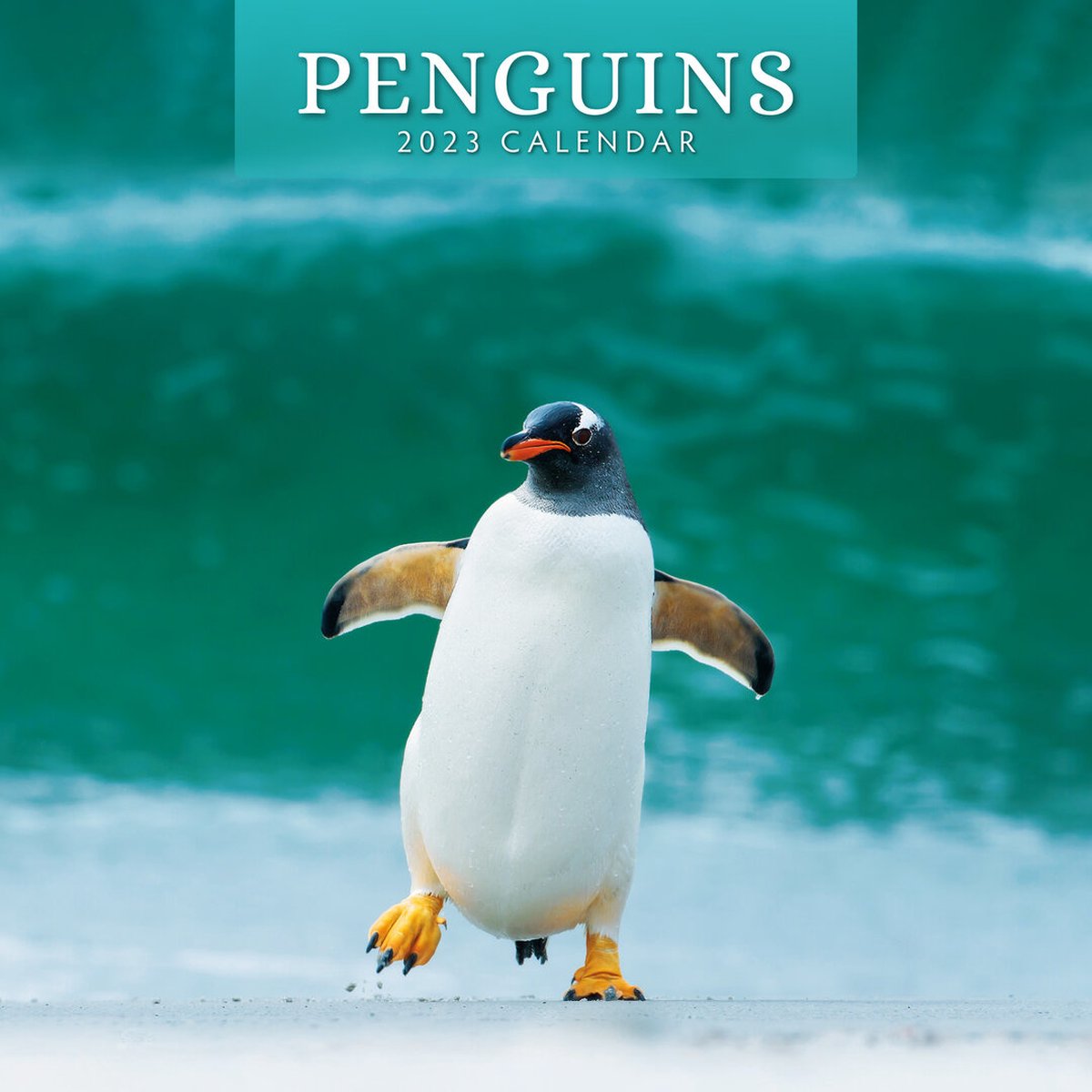 Pinguin Kalender 2023