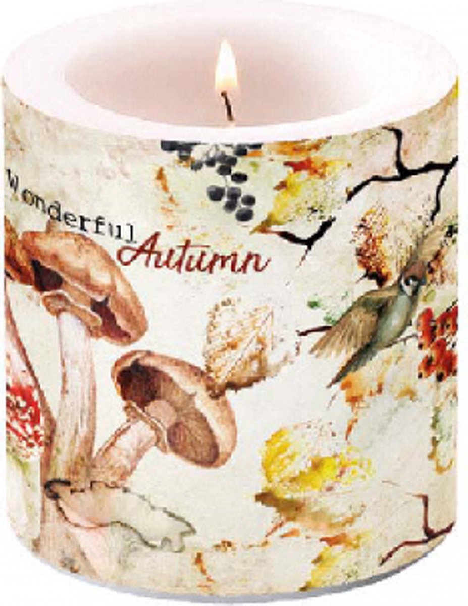 Ambiente - Kaars - Wonderfull Autumn - 35 branduren - Herfst