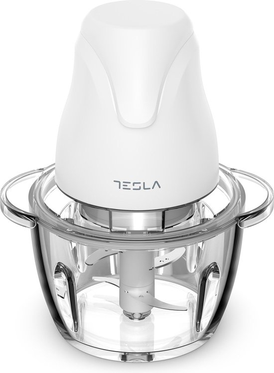 Tesla FC302W elektrische hakmolen 1 l 400 W Wit | bol.com