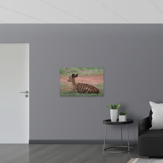 WallClassics - Drapeau - Cerf au repos - 90x60 cm Photo sur Drapeau Polyester