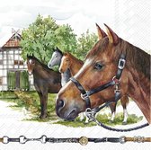 20x Serviettes 3 épaisseurs colorées chevaux 33 x 33 cm - Thème Paarden/ animal