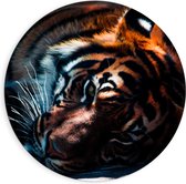 WallClassics - Cercle mural en Dibond - Tigre à l'ombre - Photo 90x90 cm sur cercle mural en aluminium (avec système d'accrochage)