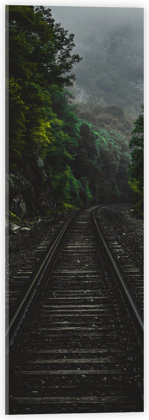 WallClassics - Acrylglas - Treinspoor tussen Groene Bossen - 20x60 cm Foto op Acrylglas (Wanddecoratie op Acrylaat)