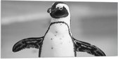 WallClassics - Vlag - Vrolijke Pinguïn Zwart / Wit - 100x50 cm Foto op Polyester Vlag