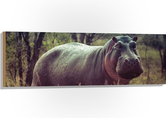 WallClassics - Hout - Nijlpaard in het Gras - 120x40 cm - 12 mm dik - Foto op Hout (Met Ophangsysteem)