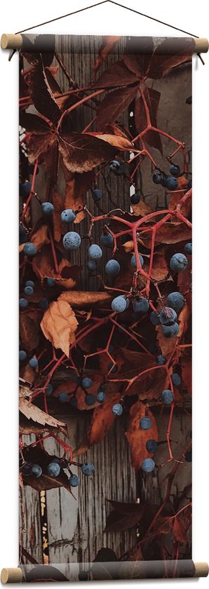 WallClassics - Textielposter - Bruine Plant met Bessen aan de Schutting - 30x90 cm Foto op Textiel