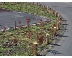 Intergard Kastanjehouten palen kastanje palen ø10x160cm