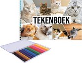 A4 katten thema print schetsboek/ tekenboek/ schetsblok wit papier met 36 kleurpotloden
