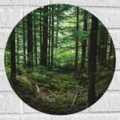 WallClassics - Muursticker Cercle - Forêt mature - 40x40 cm Photo sur Muursticker