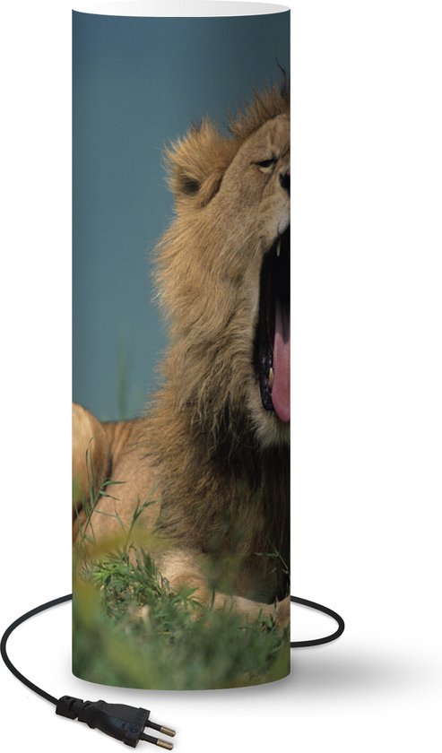 Lamp – Nachtlampje – Tafellamp slaapkamer – Leeuw – Wild dier – Savanne – 70 cm hoog – Ø22 cm – Inclusief LED lamp