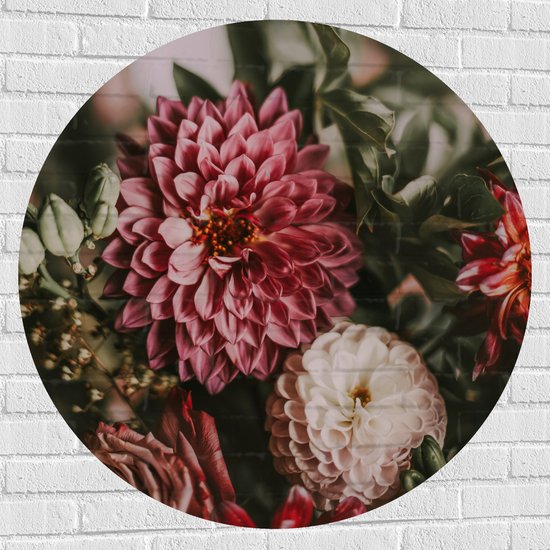 WallClassics - Muursticker Cirkel - Close-Up van Rood/Roze en Witte Bloemen - 100x100 cm Foto op Muursticker