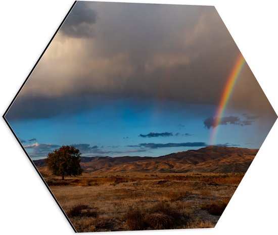 WallClassics - Dibond Hexagon - Einde van de Regenboog in het Veld - 50x43.5 cm Foto op Hexagon (Met Ophangsysteem)