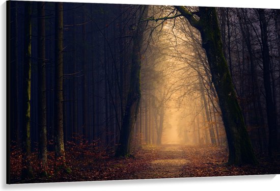 WallClassics - Toile - Lumière Mystérieuse dans la Forêt Sombre - 150x100 cm Photo sur Toile Peinture (Décoration murale sur Toile)