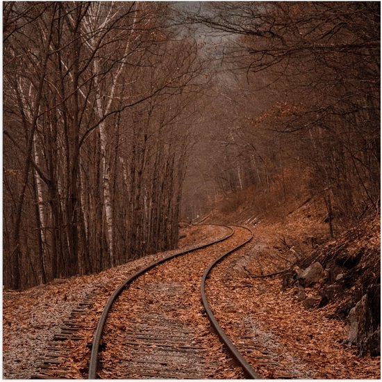 WallClassics - Poster (Mat) - Treinrails tussen Bossen - 100x100 cm Foto op Posterpapier met een Matte look