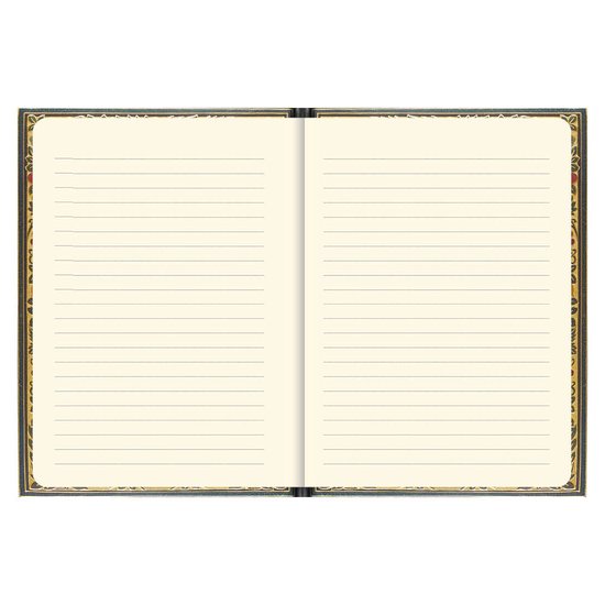 Open gouden notitieboek met gedecoreerde pagina's en lijntjes.