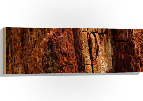 WallClassics - Hout - Bruine Rostwand - 12 dik - Foto op Hout (Met Ophangsysteem)