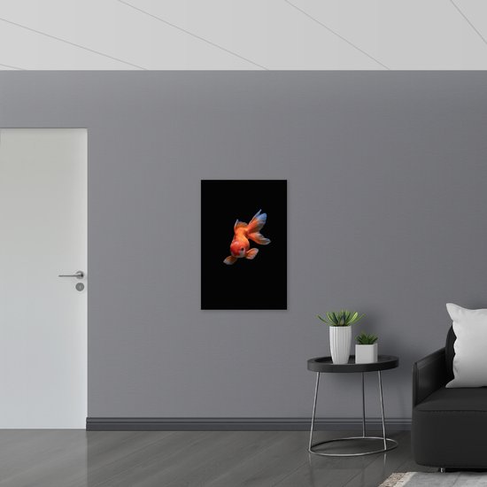 WallClassics - Toile - Poisson rouge sur fond noir - 60x90 cm (Décoration murale )
