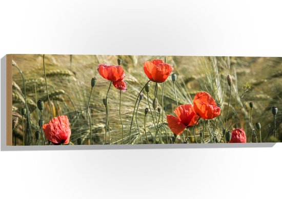 WallClassics - Hout - Rode Klaprozen in het Gras - 90x30 cm - 12 mm dik - Foto op Hout (Met Ophangsysteem)