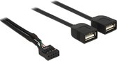DeLOCK 83823, 0,4 m, 2 x USB A, USB 2.0, Femelle/Femelle, 480 Mbit/s, Noir