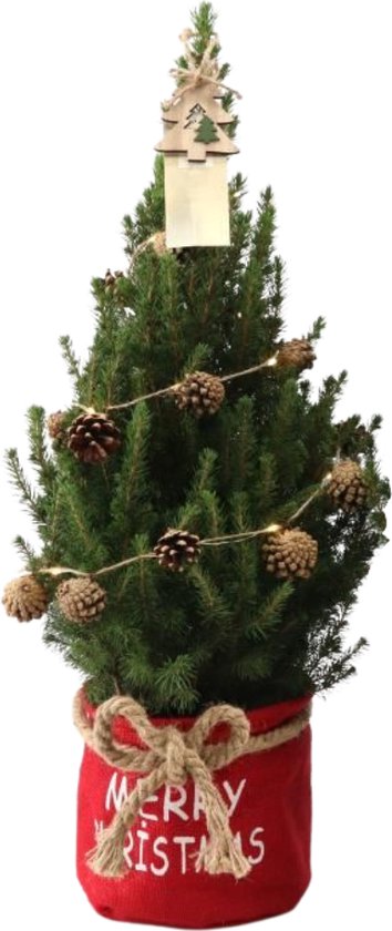 Aanklager filter als Fresh from Nature - Kleine Kerstboom in Xmas bag rood met verlichting  'Pinecone light'... | bol.com