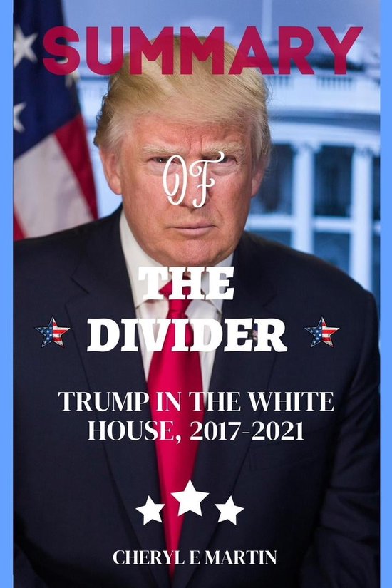 book review the divider