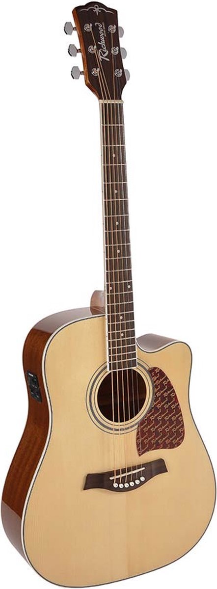 Semi akoestische gitaar Artist Series Dreadnought RD-17-CE
