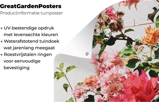 Tuinposter 60x30 cm - Tuindecoratie Bloemen - Struik - Zomer - Roze - Poster voor in de tuin - Buiten decoratie - Schutting tuinschilderij - Tuindoek muurdecoratie - Wanddecoratie balkondoek