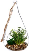 Glazen terrarium, druppelvorm H19.5cm - Overig - groen - Transparent - Aloe Vera - SILUMEN