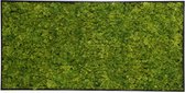 Jivana Mosschilderij - MOSS Emerald Green - 50x100 cm kader in antraciet look - wanddecoratie voor binnen en buiten