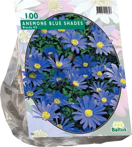 Anemone (Anemoon) bloembollen - Blauw - 2 x 100 stuks