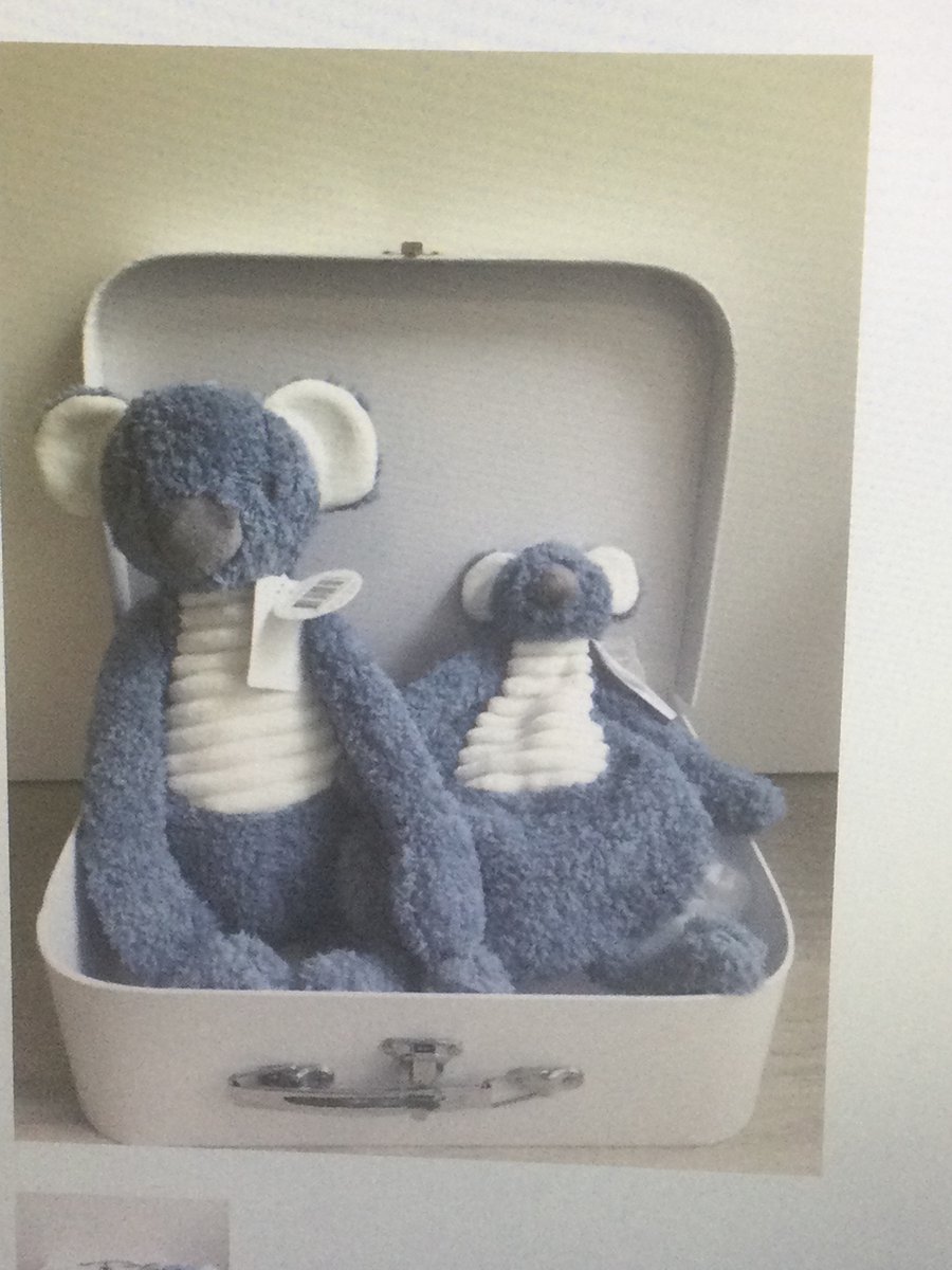 Goedkoopste Geboortegeschenk / geboorte cadeau / babyborrel /Koffertje met knuffel en knuffeldoek koala