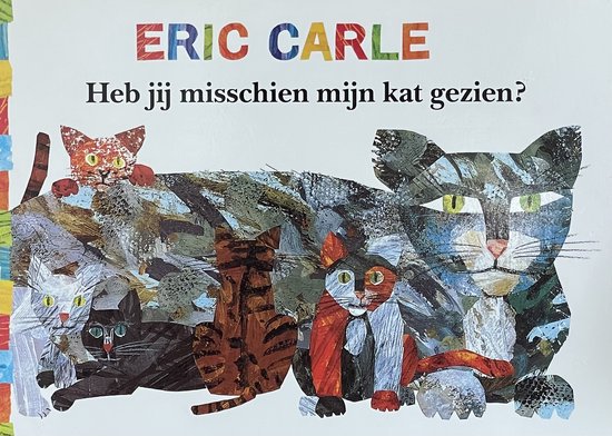 9789462291683 - Heb jij misschien mijn kat gezien?