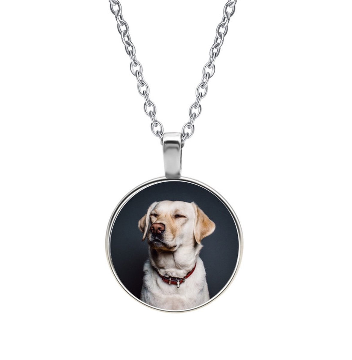 Ketting Glas - Hond