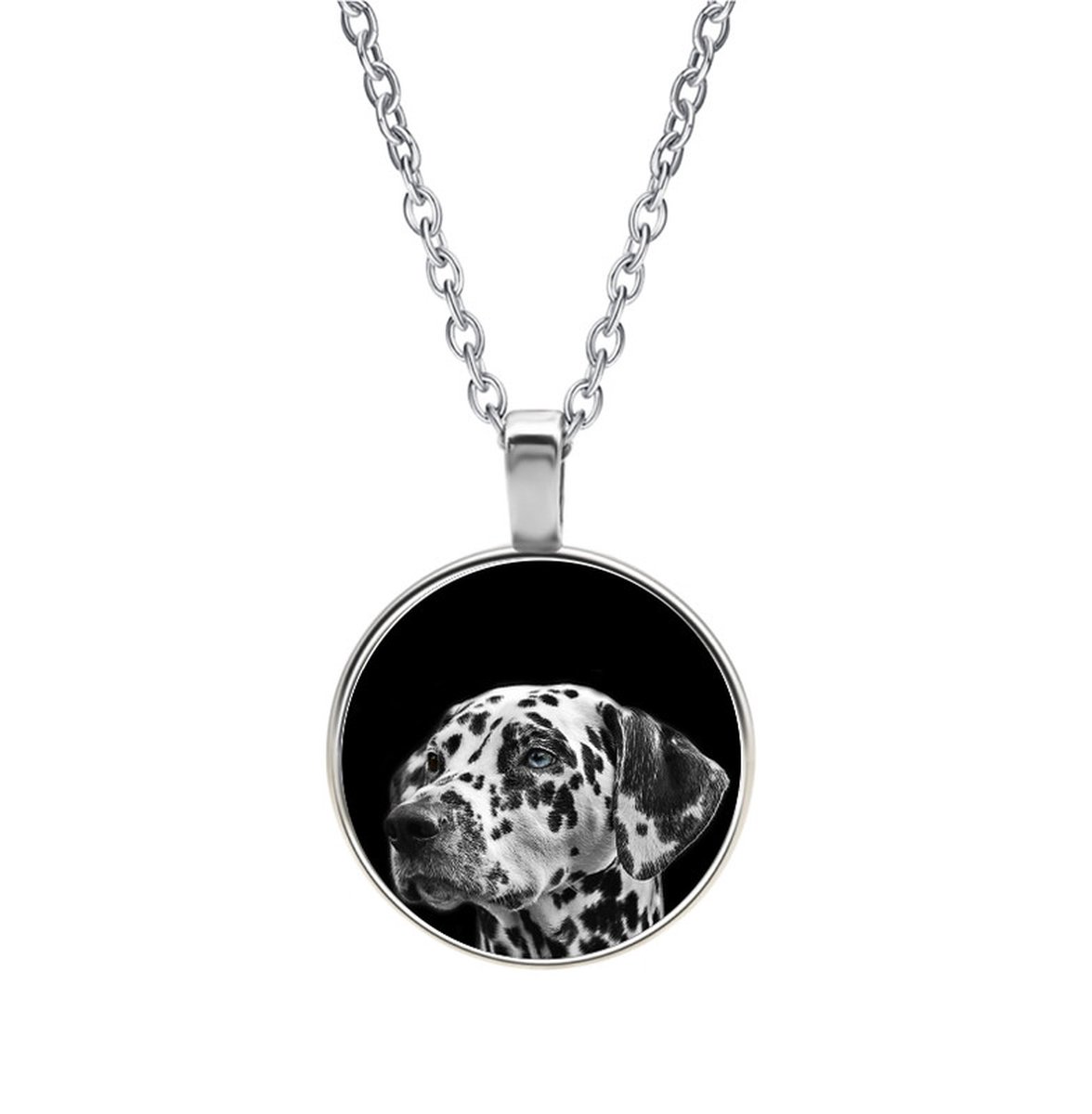Ketting Glas - Hond
