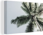 Canvas Schilderij Palmboom - Tropical - Zomer - 90x60 cm - Wanddecoratie