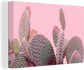 Canvas Schilderij Cactus - Planten - Zomer - 120x80 cm - Wanddecoratie