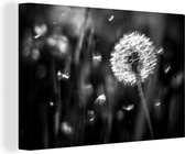 Canvas Schilderij Paardenbloem - Zwart - Wit - Plant - 120x80 cm - Wanddecoratie