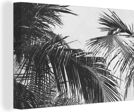 Canvas Schilderij Palmbladeren - Natuur - Vintage - Palmboom - 60x40 cm - Wanddecoratie