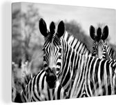 Canvas Schilderij Zebra - Zwart - Wit - Dieren - 80x60 cm - Wanddecoratie