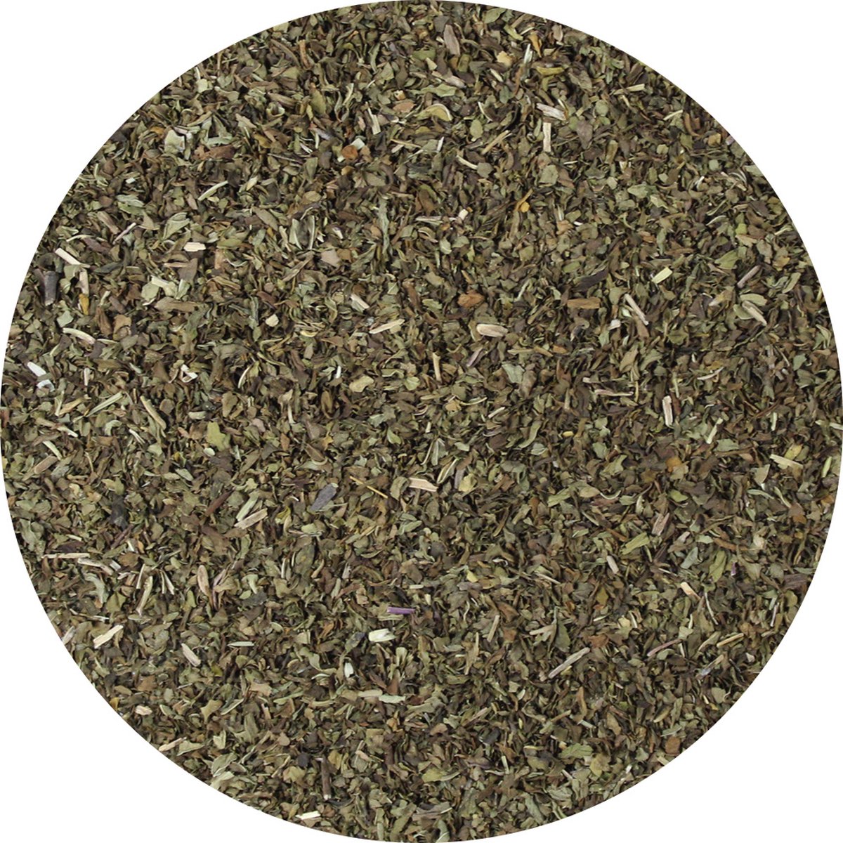 Goedkoopste Van Beekum Specerijen - Muntblad Gesneden - 6 KG - Zak (bulk verpakking