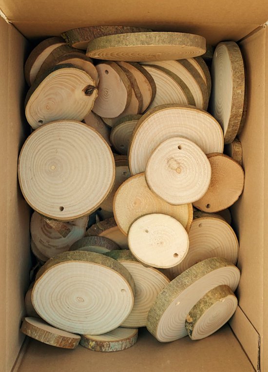 100 Belgische boomschijven - houten MIX van 5+ tot 10 cm Ø MET EEN GAATJE.... | bol.com