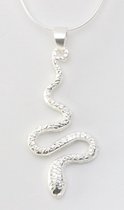 Zilveren slang hanger aan ketting