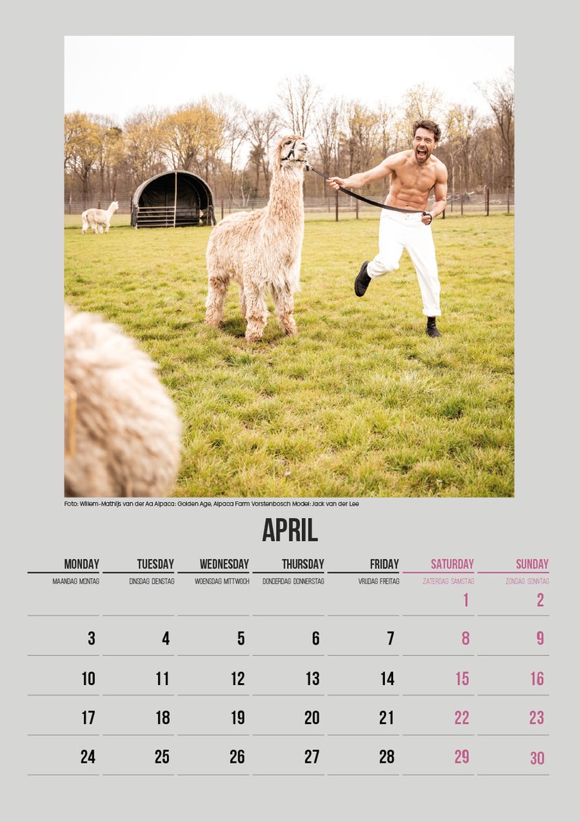 Alpaca & Hunk kalender 2023