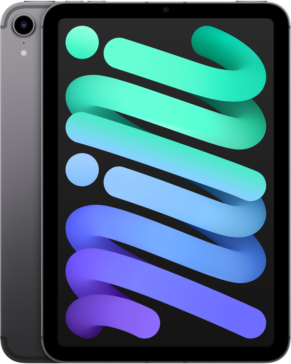 Apple iPad mini 5G TD-LTE & FDD-LTE 256 GB 21,1 cm (8.3") Wi-Fi 6 (802.11ax) iPadOS 15 Grijs