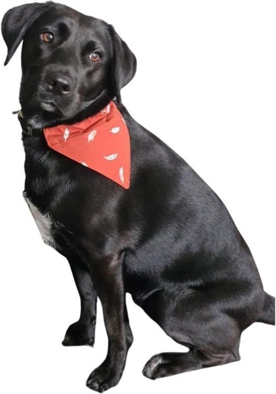 Perro Hondenzakdoek hondenbandana Rood honden bandana zakdoek halsdoek voor halsband sjaal