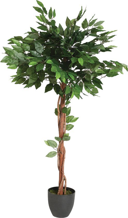Atmosphera Kunstplant - Plant - Ficus - Met Pot - H130cm