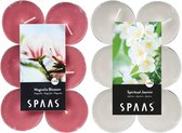 Candles by Spaas geurkaarsen - 24x stuks in 2 geuren Jasmin en Magnolia Flowers - Maxi theelichtjes
